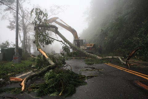 阿里山公路部分路段有路樹倒塌